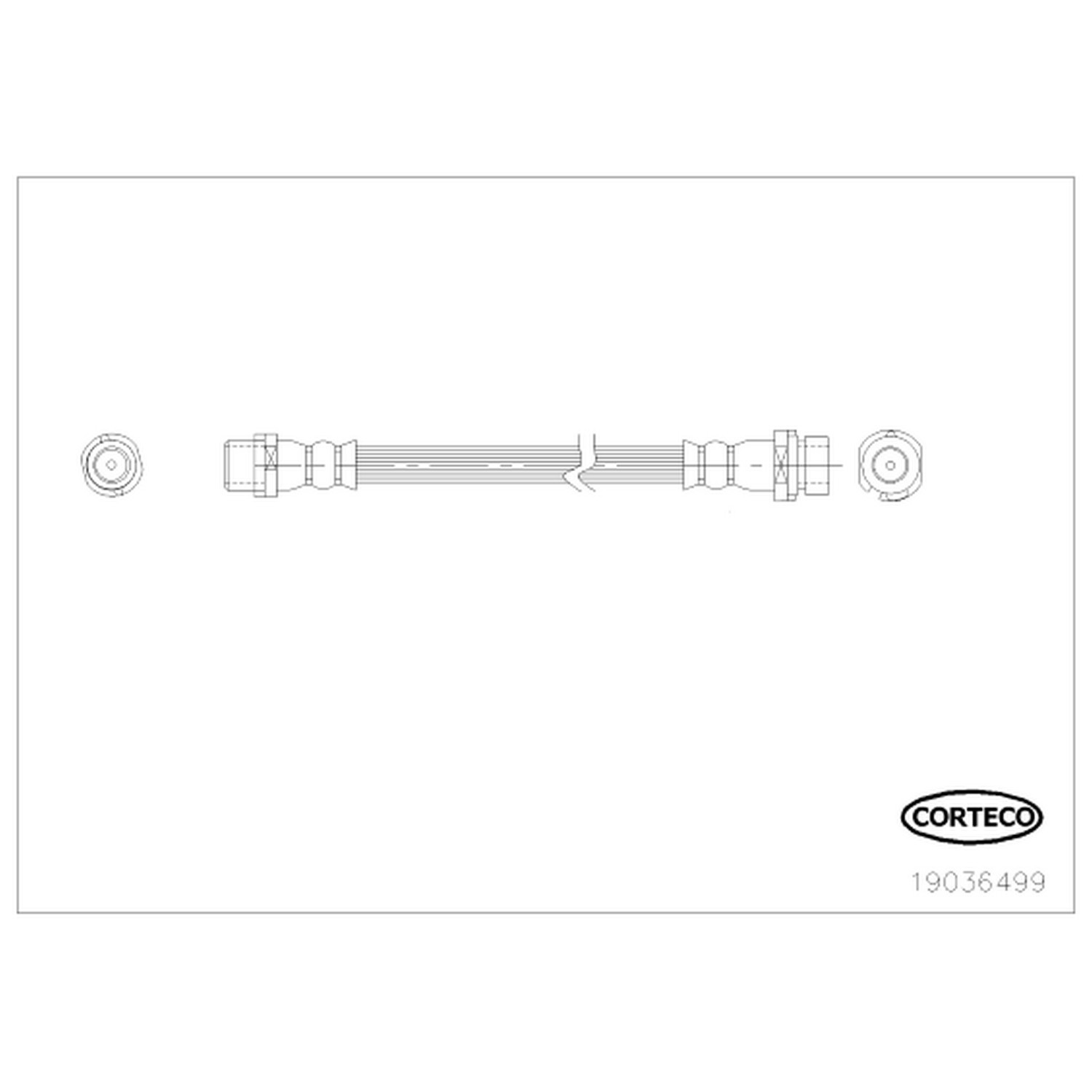 Brake Hose Corteco 338-19036499