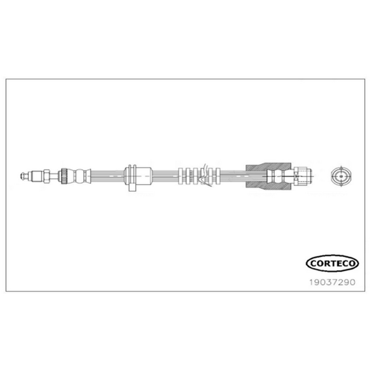 Brake Hose Corteco 338-19037290