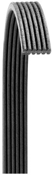POLY RIB BELT, DAYCO Dayco 311-6080570