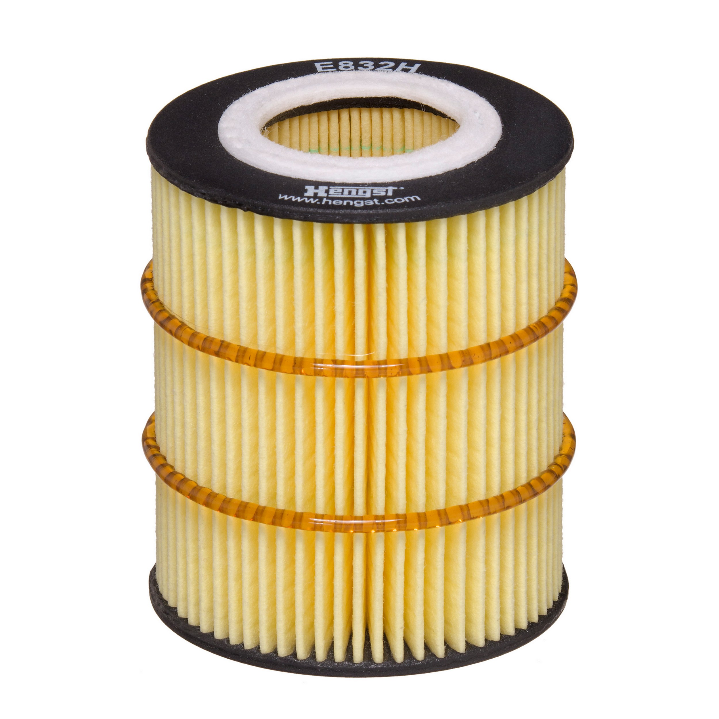 Oil Filter Insert w/ Gasket Kit Hengst 360-E832H D317