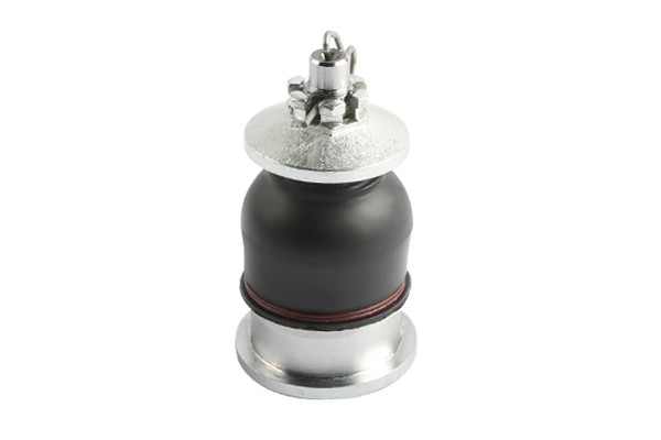 Ball Joint Suspensia 484-X02BJ0362
