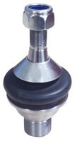 Ball Joint Suspensia 484-X31BJ2342