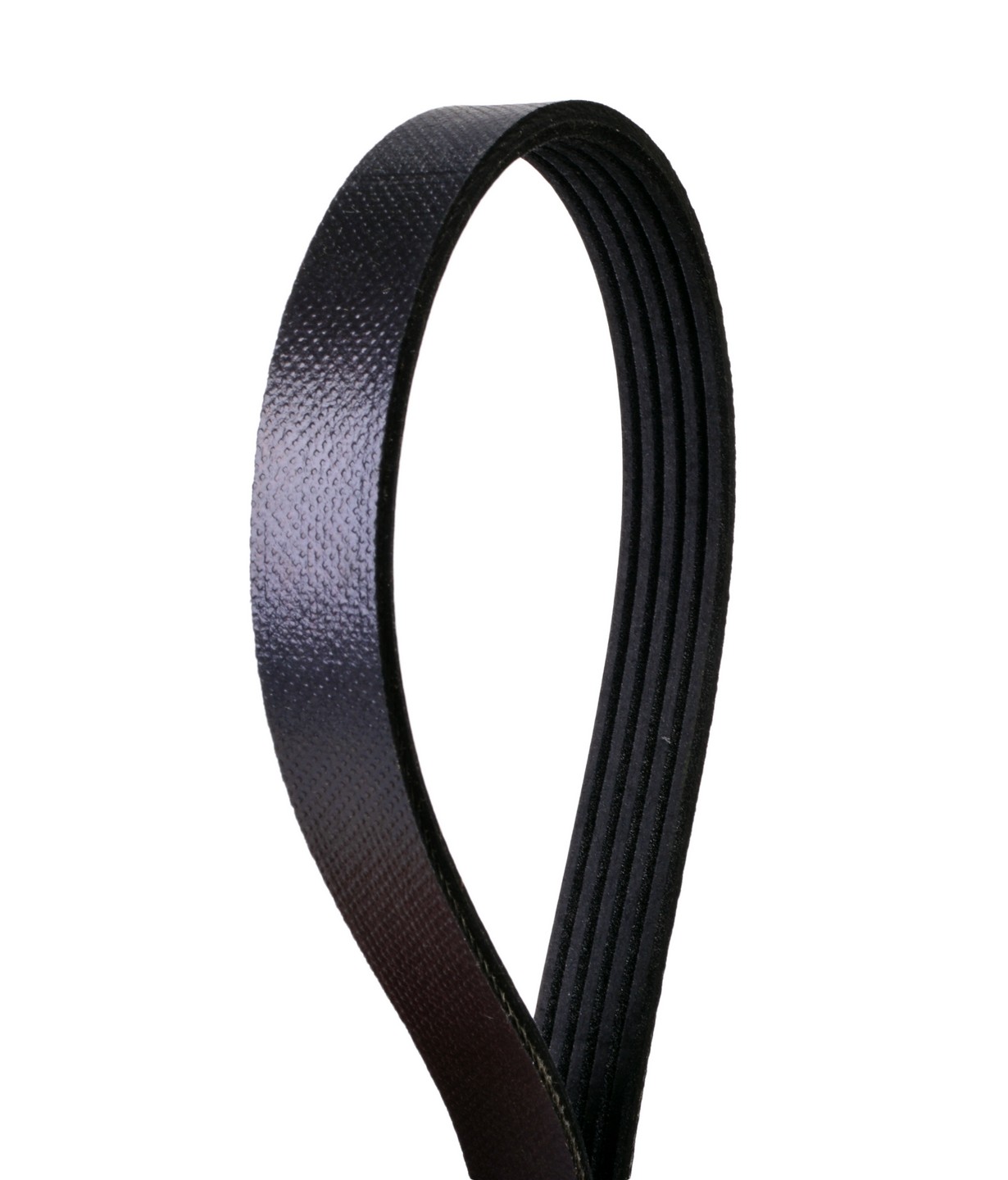 Serpentine Belt Continental 232-4050689