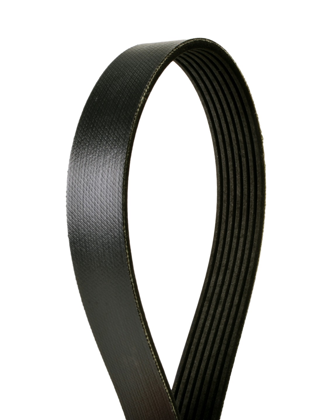 Serpentine Belt Continental 232-4070565