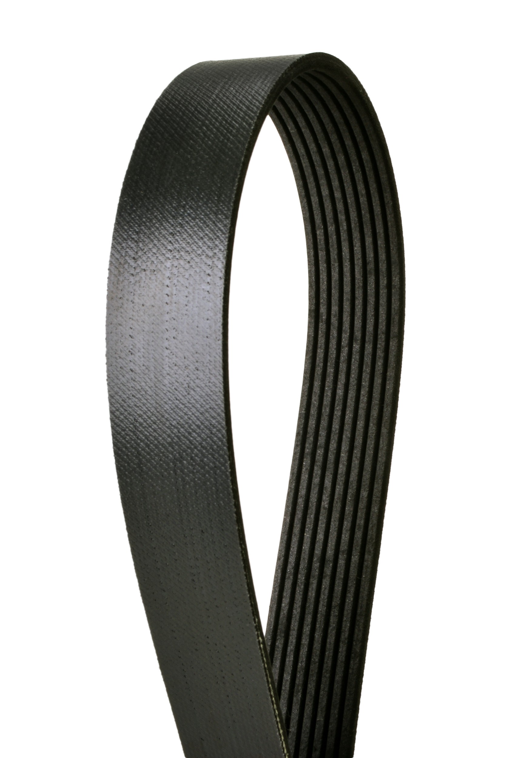 Serpentine Belt Continental 232-4080948