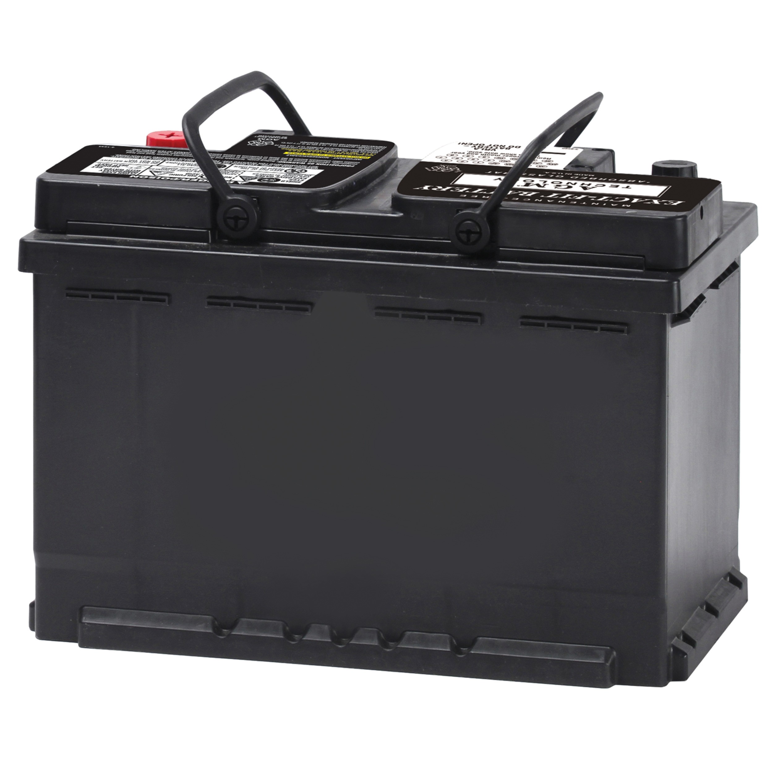 AGM Auto/LTV Battery Delphi 353-BU9094R