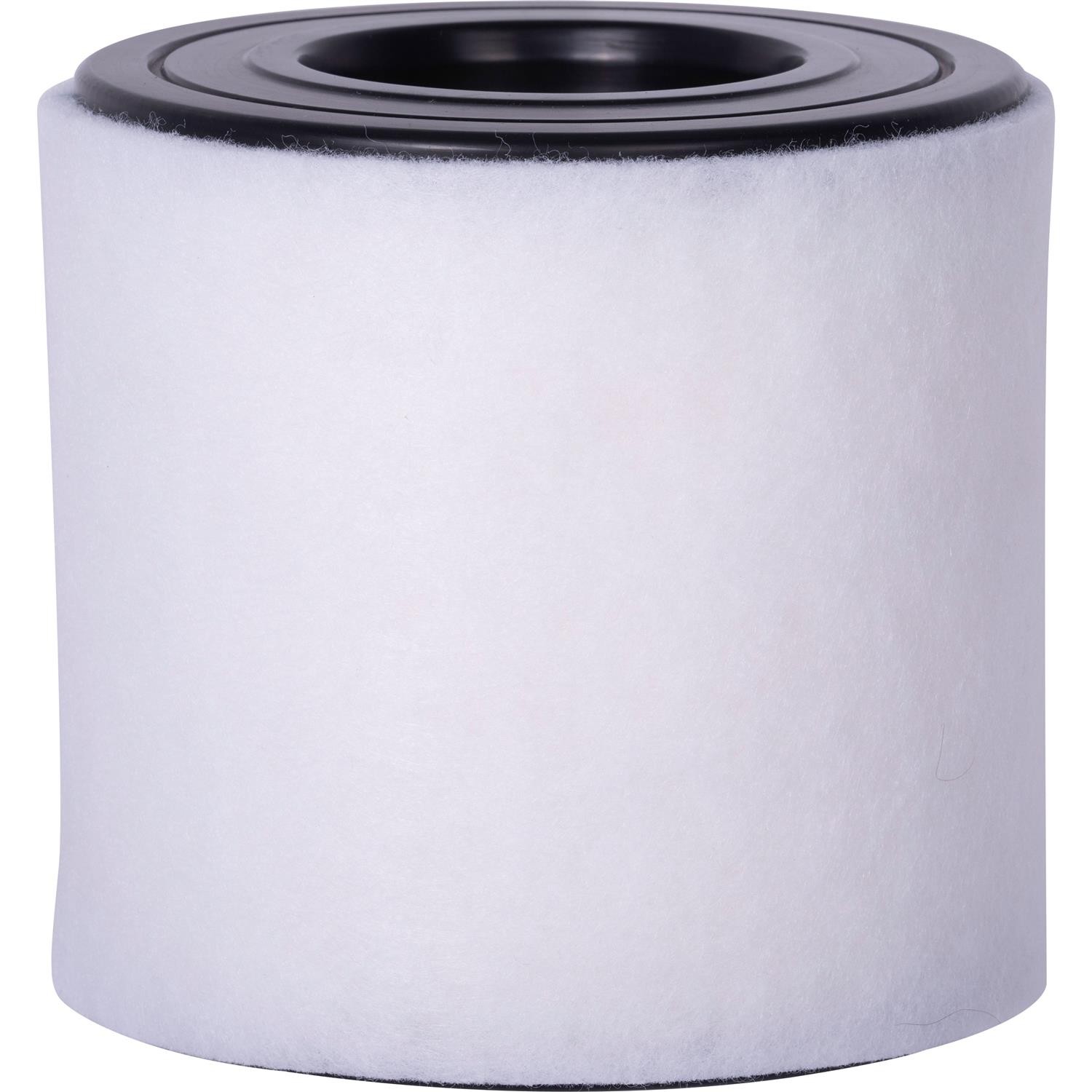 Air Filter Premium Guard 795-PA99544